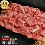 切り落とし 300g