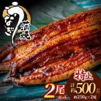 うなぎ蒲焼き2尾 計500g以上
