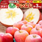りんご 葉とらずサンふじ約3kg 24_nng-130301aj