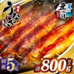 ふるさと納税 都農町 【夏の丑の日までにお届け!!】うなぎ蒲焼5尾(計800g以上) 鰻 国産_T026-0032-US2