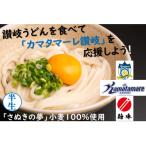 カマタマーレ讃岐×麺棒 讃岐夢かけうどん 8人前