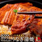 うなぎ 蒲焼 120g×1尾