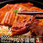 うなぎ 蒲焼 120g×3尾