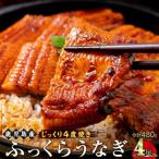 うなぎ 蒲焼 120g×4尾