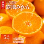 露地みかん Lサイズ 5kg