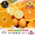 南国の恵み 旬の柑橘食べ比べ 全3回お届け