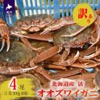訳あり 活オオズワイガニ300g前後×4尾