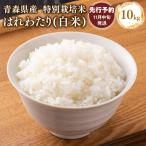 ふるさと納税 平川市 ≪令和8年11月発送≫　特別栽培米 はれわたり白米10kg【青森県 平川市】
