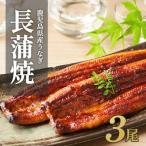 超特大 産うなぎ無頭蒲焼3尾 計660g以上
