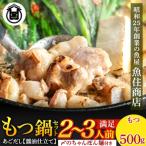 魚住商店あごだし もつ鍋セット2~3人前