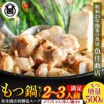 A1593.魚住商店特製塩もつ鍋セット2~3人前