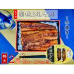 うなぎ蒲焼2尾 計400~500g