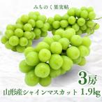 みちのく果実帖 シャインマスカット3房 約1.9kg