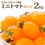 甘さにこだわった濃厚オレンジミニトマト 2kg