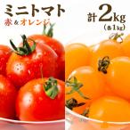 食べ比べセット ミニトマト赤&amp;オレンジ計2kg