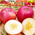 りんご ぐんま名月 約3kg