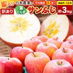 りんご 葉とらずサンふじ 約3kg