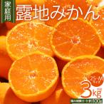 訳あり 山北みかん 3kg