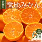 みかん 2回定期便 訳あり 2S-M 3kg