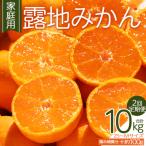 露地みかん 2S~Mサイズ 5kg
