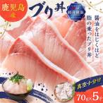 鹿児島産 ブリ丼 70g×5セット
