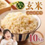 玄米10kg 5kg×2袋