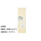 fu.... налог Kyoto city [47 префектуры кимоно отвечающий . Project ] Yamanashi префектура столица рука ... tsukesage надеты сяку 