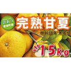 訳あり 木成り 完熟 甘夏 15kg