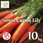 fu.... налог . юг город ( предварительный заказ прием ) есть перевод колокольчик . сельское хозяйство ... морковь Suite Carrot lili.10kg H022-020