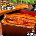 鹿児島産 超特大 うなぎ 蒲焼 無頭 計480g以上