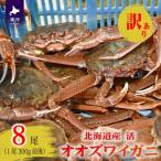 訳あり 活オオズワイガニ300g前後×8尾