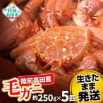 ふるさと納税 陸前高田市 生きたまま発送 毛ガニ 約250g×5匹 陸前高田市産 かに カニ 蟹 活毛ガニ 新鮮 濃厚 天然