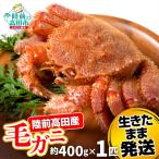 ふるさと納税 陸前高田市 生きたまま発送 毛ガニ 約400g×1匹 陸前高田市産 かに カニ 蟹 活毛ガニ 新鮮 濃厚 天然