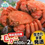 ふるさと納税 陸前高田市 生きたまま発送 毛ガニ 約500g×2匹 陸前高田市産 かに カニ 蟹 活毛ガニ 新鮮 濃厚 天然