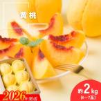 ふるさと納税 福島市  