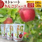 りんごジュース パウチタイプ 180ml×20袋