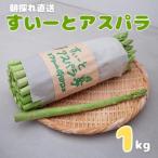 朝採れ直送 すいーとアスパラ 1kg