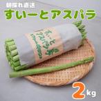 朝採れ直送 すいーとアスパラ 2kg