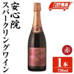 ふるさと納税 宇佐市 安心院スパークリングワイン 赤 1本 【107306800】【時枝酒店】