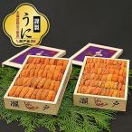 エゾバフンウニ 赤系 240~250g×2折