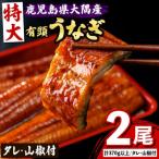 特大うなぎ蒲焼 有頭 2尾
