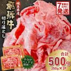 飛騨牛切り落とし500g 250g×2