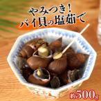やみつき バイ貝の塩茹で 500g