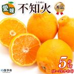 <秀品 不知火 L~2Lサイズ 約5kg>愛媛