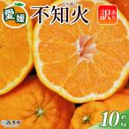 <訳あり 不知火 サイズ混合 約10kg愛媛