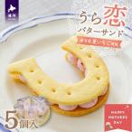 ふるさと納税 浦河町 【母の日対応】『うら恋バターサンド』5個入[55-1578]