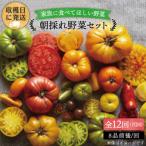 朝採れ野菜セット 8品前後