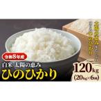 白米ひのひかり 笠岡産 120kg