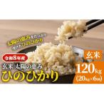 玄米ひのひかり 笠岡産 120kg