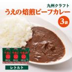 九州クラフト うえの焙煎ビーフカレー レトルト 3袋